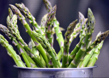 learn everything about asparagus