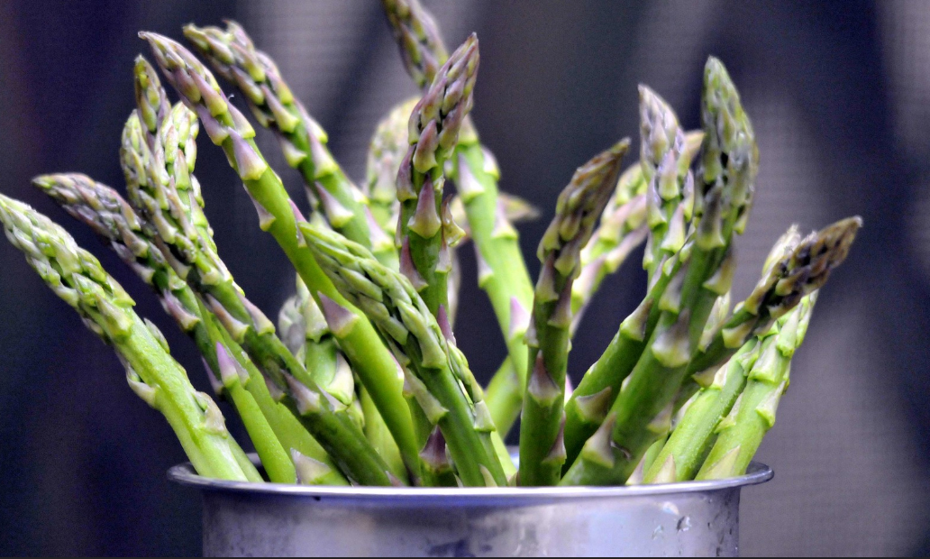 learn everything about asparagus