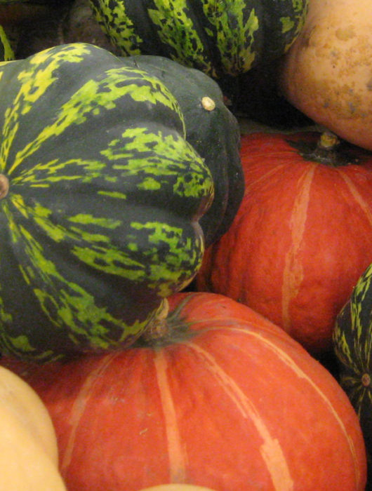 how are summer and winter squash different